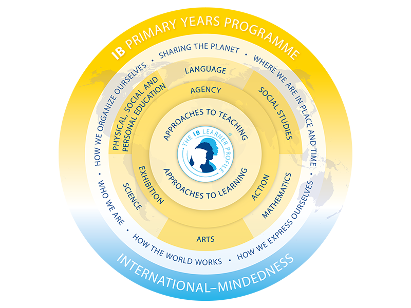 resized-pyp-model