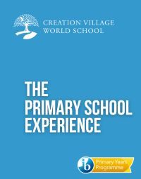 The Primary School Experince