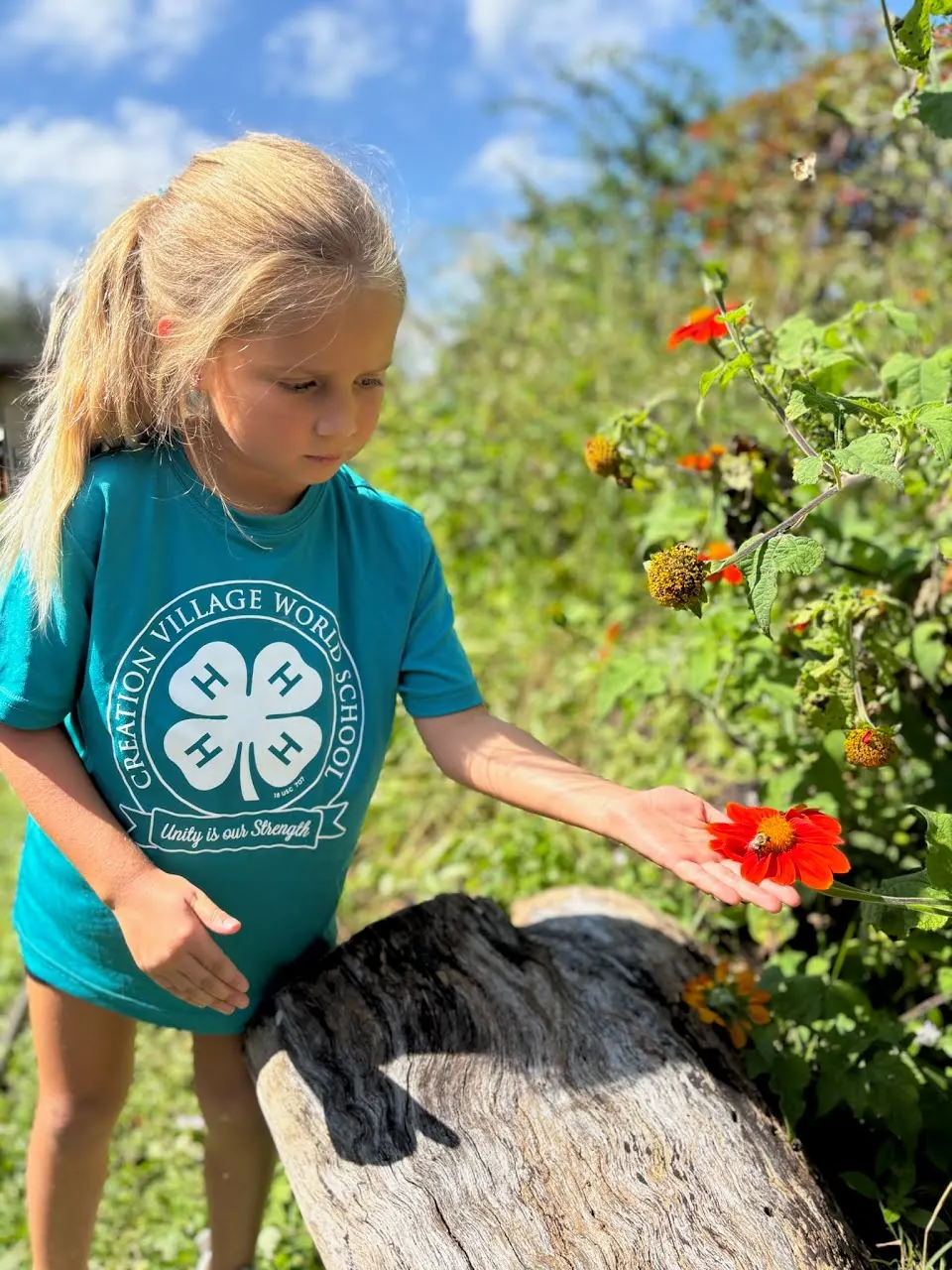 A young 4-H member tending flowers in the school garden